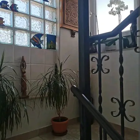 Soha 1 Apartment
